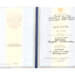 Диплом РЮИ - Кремнев Валерий Анатольевич