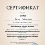 13.11.2024 (6 час) - Ганиев Тагир Робертович