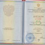 Диплом Кириллова К.А. - Кириллова Ксения Александровна