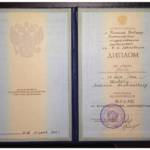 Диплом без приложений - Шавин Василий Анатольевич