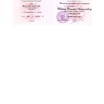 Диплом кюн - Шавин Василий Анатольевич