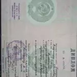 Диплом мой - Костырин Владимир Иванович