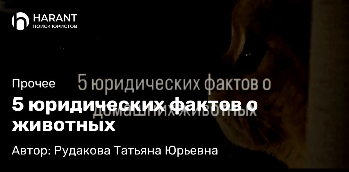 Юрист Рудакова Татьяна Юрьевна объясняет: 5 юридических фактов о животных