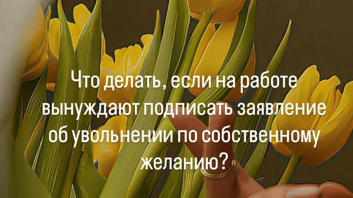 Юрист Рудакова Татьяна Юрьевна объясняет: Если вынуждают написать заявление по собственному желанию, что делать?