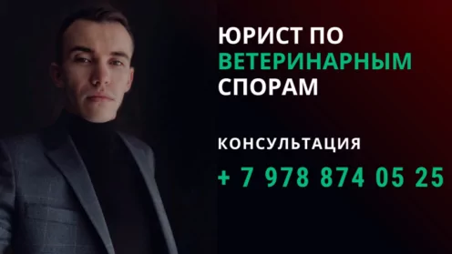 Некачественные ветеринарные услуги, претензия, как вернуть деньги?