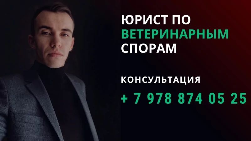 Юрист Пахомов Александр Валерьевич объясняет: Некачественные ветеринарные услуги, претензия, как вернуть деньги?
