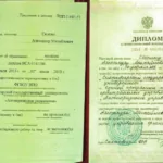 Диплом - Скопин Александр Михайлович