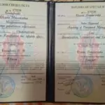 Диплом - Бондаренко Оксана Михайловна