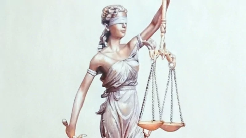 Адвокат Чугаева Алеся Валерьевна объясняет: Что необходимо знать каждому при его задержании