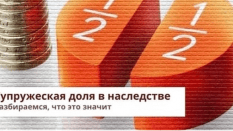 Юрист Мотык Татьяна Викторовна объясняет: Супружеская доля