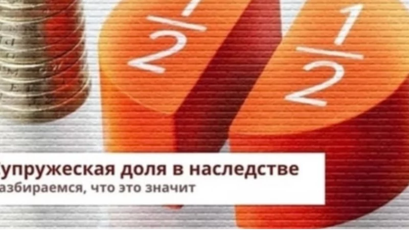Юрист Мотык Татьяна Викторовна объясняет: Супружеская доля