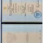 Диплом - Плешков Иван Иосифович