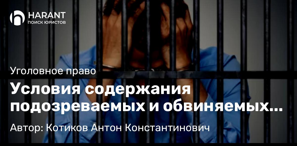 Адвокат Котиков Антон Константинович объясняет: Условия содержания подозреваемых и обвиняемых в судах будут изменены