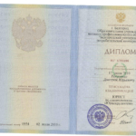 Диплом - Рекуненко Дмитрий Юрьевич