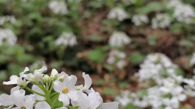 Юрист Красикова Маргарита Викторовна объясняет: Апрельские изменения законодательства в сфере образования
