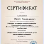 Сертификат - Елисеенко Максим Александрович