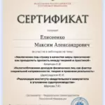Сертификат 2 - Елисеенко Максим Александрович