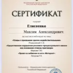 Сертификат 3 - Елисеенко Максим Александрович