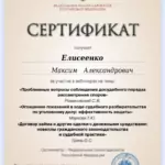 Сертификат 6 - Елисеенко Максим Александрович