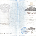 Диплом Поляков А.В. - Поляков Антон Васильевич