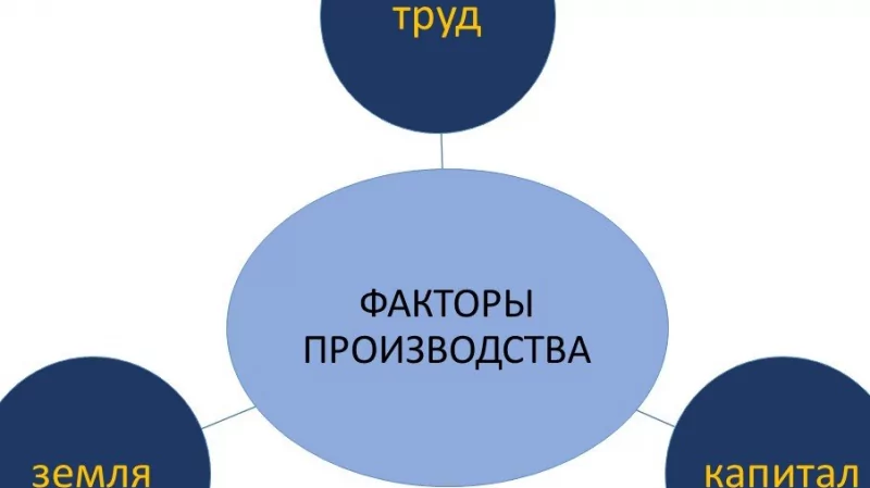 Адвокат Шавин Василий Анатольевич объясняет: Декларация трудового права или Кадры решают всё.