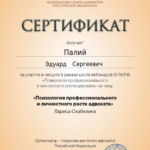Сертификат - Палий Эдуард Сергеевич