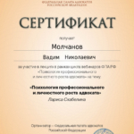 Сертификат 02.04.2025 - Молчанов Вадим Николаевич