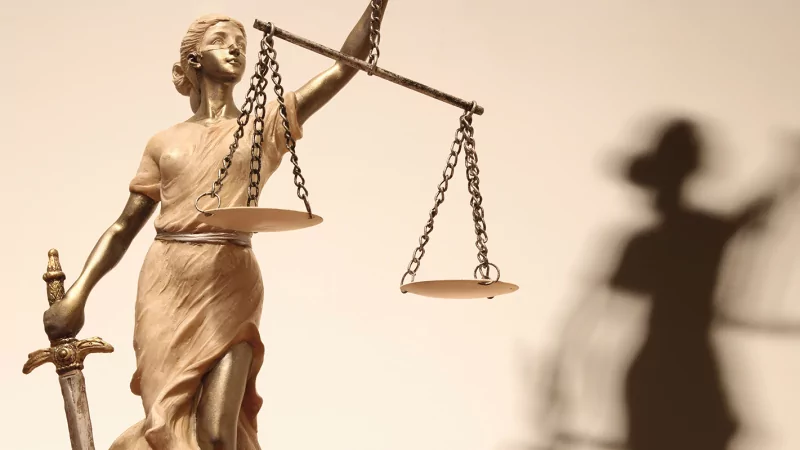 Юрист Ананьев Вадим Валерьевич объясняет: Участникам СВО сокращены сроки рассмотрения обращений в “Роскадастр”