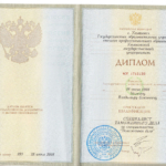 Диплом таможенное дело Мажова В.О. - Мажов Владимир Олегович