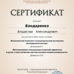 Сертификат 6 - Бондаренко Владислав Александрович