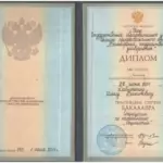 Диплом - Давлетшин Ильяс Вахитович