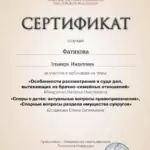 Сертификат - Фатихова Эльмира Имдатовна