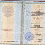 Диплом - Брежнев Александр Викторович