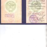 Диплом ОмГУ Москвин М.А. - Москвин Михаил Анатольевич