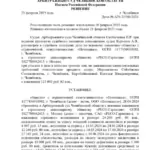 Решение - Кальчик Наталья Владимировна