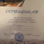 Сертификат Молодежь-Барнаулу - Батурин Денис Сергеевич