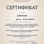 Сертификат 9 - Савельев Денис Вячеславович