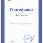 Сертификат 12 - Савельев Денис Вячеславович