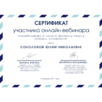 Вебинар по налогам - Шанина Юлия Николаевна