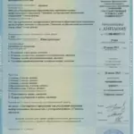 Диплом Шаниной Ю.Н. (приложение) - Шанина Юлия Николаевна