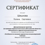 Сертификат 3 - Шишкова Полина Сергеевна