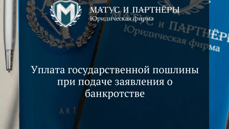 Юрист Матус Владислав Сергеевич объясняет: Уплата государственной пошлины при подаче заявления о банкротстве