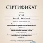 Сертификат - Зуев Андрей Валерьевич