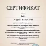 Сертификат 2 - Зуев Андрей Валерьевич