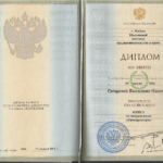 Диплом - Магола Виолетта Олеговна