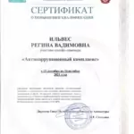 Сертификат 4 - Ильвес Регина Вадимовна