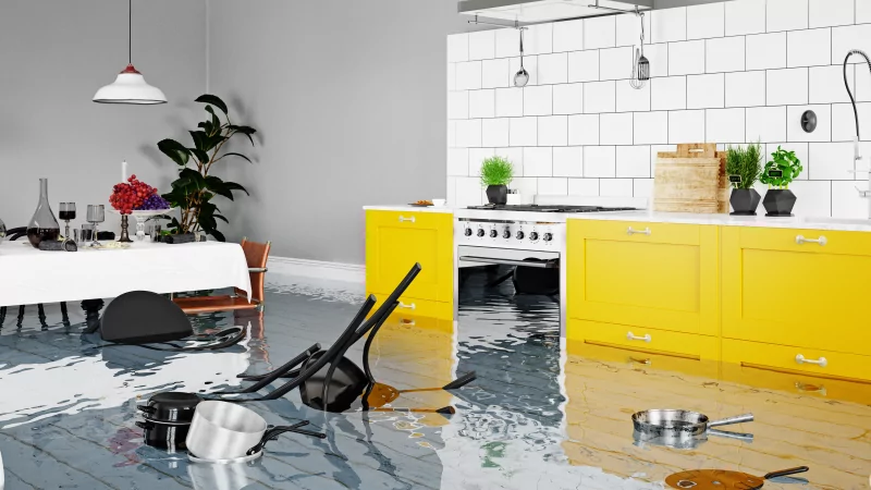 Юрист Комиссарова Алена Николаевна объясняет: Залив квартиры. Что делать?