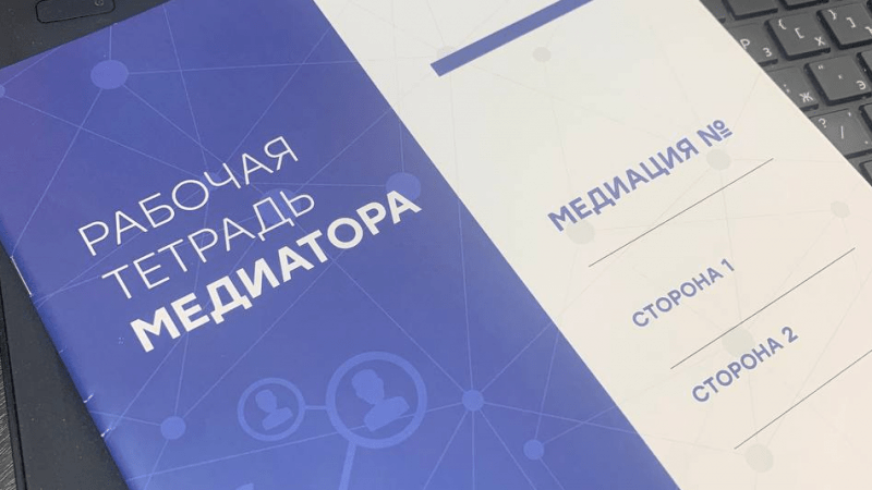 Адвокат Ильвес Регина Вадимовна объясняет: А кто отведет ребенка в школу?