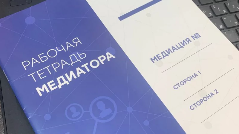 Адвокат Ильвес Регина Вадимовна объясняет: А кто отведет ребенка в школу?