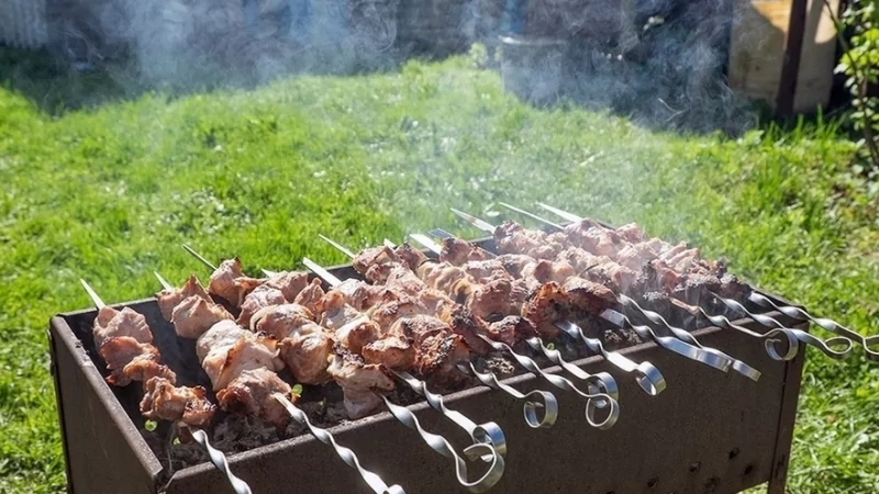 Адвокат Гаджиев Радик Севзиханович объясняет: Шашлык на даче под запретом! 10 правил избежать штрафы.